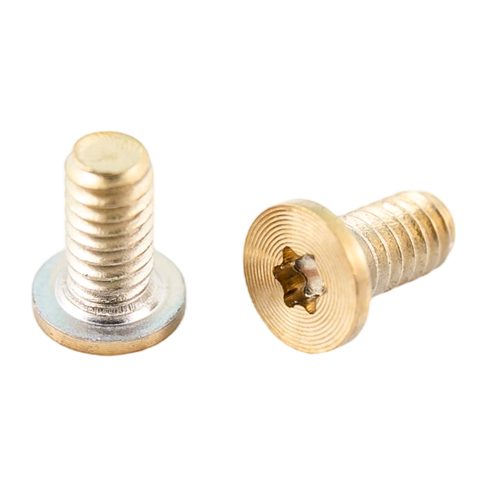 Tornillos con patrón de CD y rosca para máquina de acero inoxidable con cabezal Torx PVD dorado